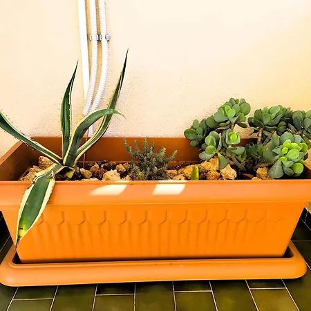 Miami De Portugal Lägenhet *