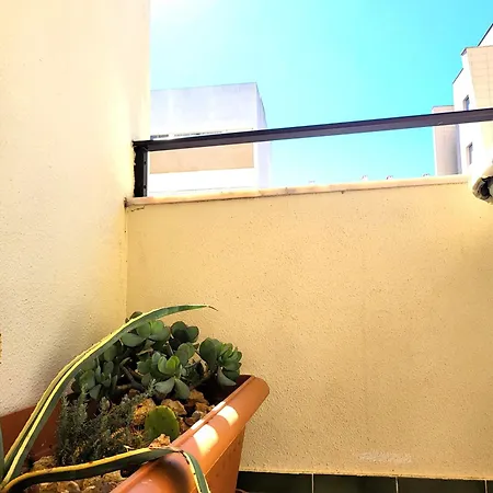 Miami De Portugal Lägenhet