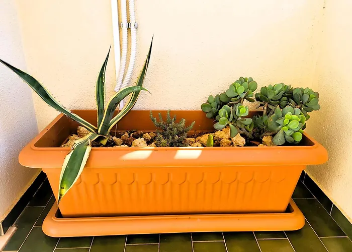 Miami De Portugal 아파트 *