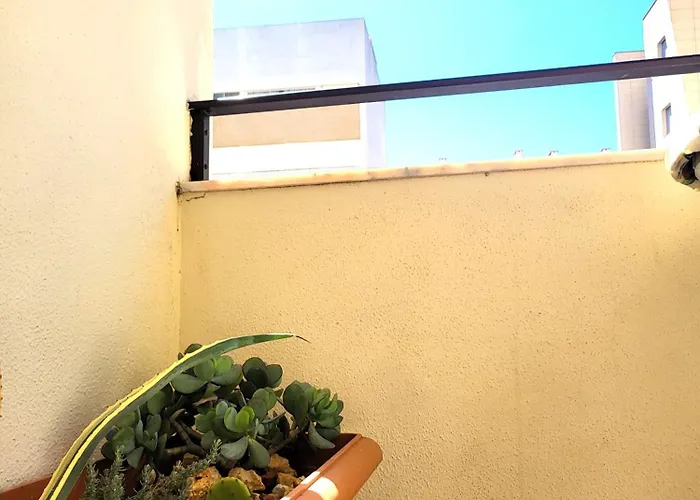 Miami De Portugal 아파트